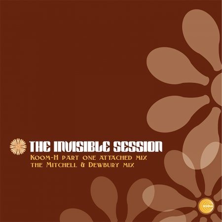 My Inspiration - Invisible Session - Musikk - SCHEMA - 8018344114170 - 21. februar 2008