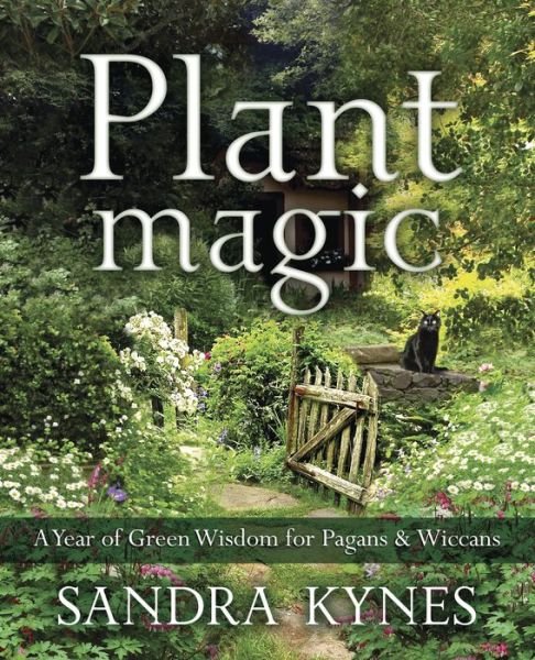 Cover for Sandra Kynes · Plant Magic: A Year of Green Wisdom for Pagans and Wiccans (Pocketbok) (2017)