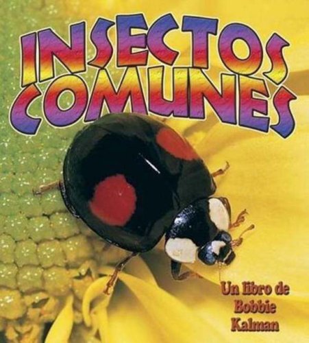 Cover for Molly Aloian · Insectos Comunes / Everyday Insects (El Mundo De Los Insectos / the World of Insects) (Spanish Edition) (Paperback Book) [Spanish edition] (2006)