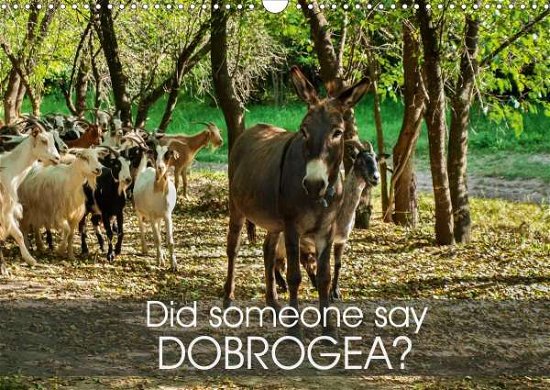 Did someone say Dobrogea? (Wall Ca - Eyes - Bøker -  - 9781325535170 - 