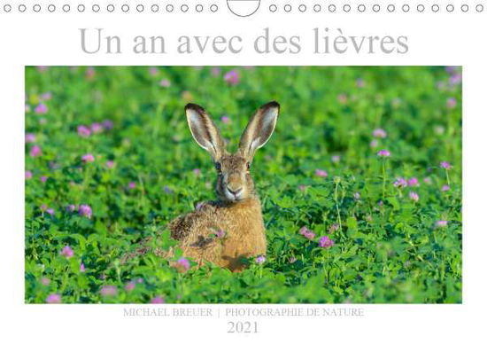 Cover for Breuer · Un an avec des lièvres (Calendri (Book)