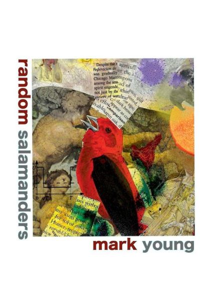 Cover for Mark Young · Random Salamanders (Paperback Book) (2017)