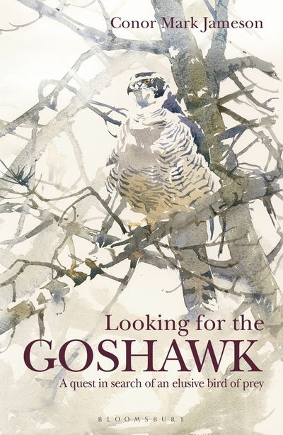 Cover for Conor Mark Jameson · Looking for the Goshawk (Paperback Book) (2018)