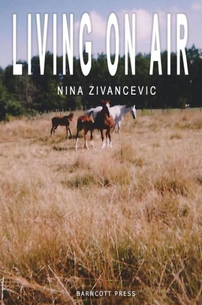 Cover for Nina Zivancevic · Living on Air (Paperback Book) (2015)