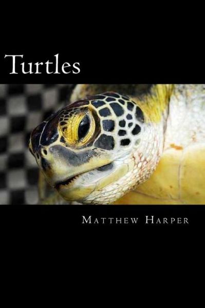 Cover for Matthew Harper · Turtles: a Fascinating Book Containing Turtle Facts, Trivia, Images &amp; Memory Recall Quiz: Suitable for Adults &amp; Children (Paperback Book) (2014)