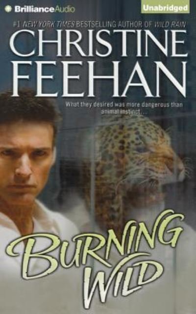 Cover for Jeffrey Cummings · Burning Wild (CD) (2015)