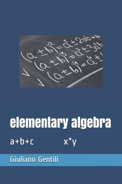 Cover for Digital Publications · Elementary Algebra (Bok) (2017)