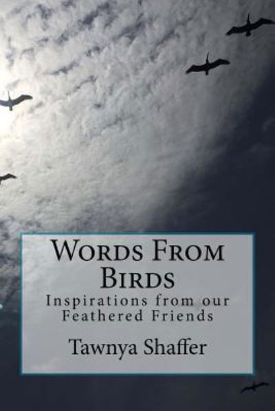 Cover for Tawnya Shaffer · Words From Birds (Paperback Book) (2017)