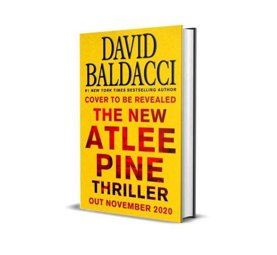 Cover for David Baldacci · Daylight - An Atlee Pine Thriller (Paperback Book) (2020)