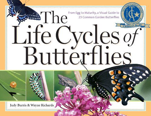 The Life Cycles of Butterflies: From Egg to Maturity, a Visual Guide to 23 Common Garden Butterflies - Judy Burris - Books - Workman Publishing - 9781580176170 - April 1, 2006