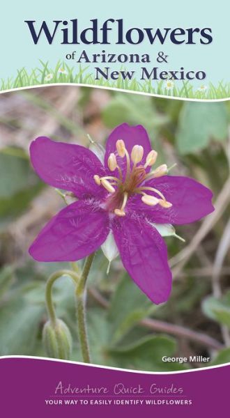 Wildflowers of Arizona & New Mexico: Your Way to Easily Identify Wildflowers - Adventure Quick Guides - George Oxford Miller - Books - Adventure Publications, Incorporated - 9781591938170 - April 9, 2020