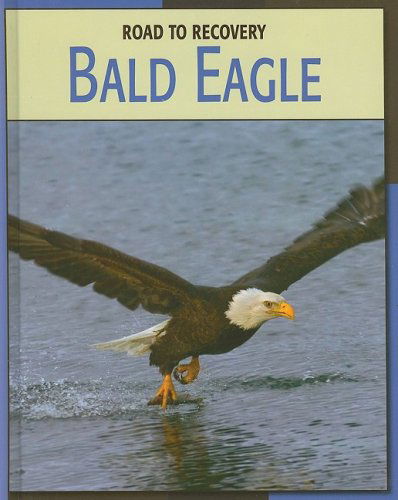 Cover for Susan Heinrichs Gray · Bald Eagle (Road to Recovery) (Hardcover Book) (2009)