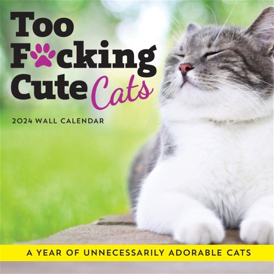 Cover for Sourcebooks · 2024 Too F*cking Cute Cats Wall Calendar: A Year of Unnecessarily Adorable Cats - Calendars &amp; Gifts to Swear By (Calendar) (2023)