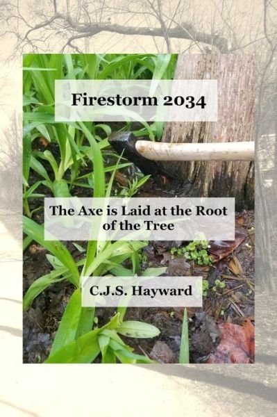Cover for Cjs Hayward · Firestorm 2034 (Pocketbok) (2018)