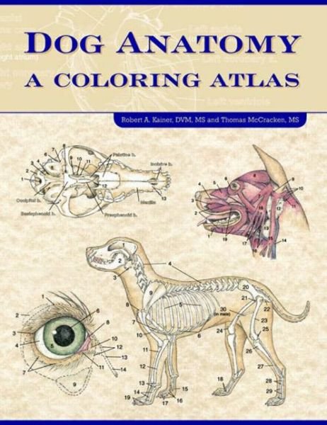 Cover for Kainer, Robert (College of Veterinary Medicine, University of Georgia, Atlanta, USA) · Dog Anatomy: A Coloring Atlas (Pocketbok) (2002)
