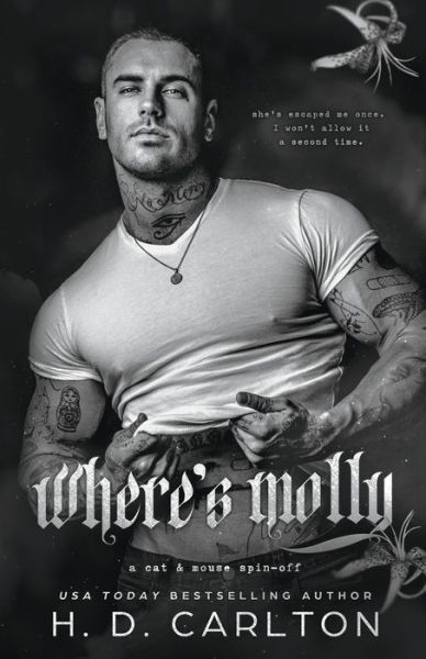 Where's Molly - H D Carlton - Livros - Hailey Carlton - 9781957635170 - 16 de fevereiro de 2024