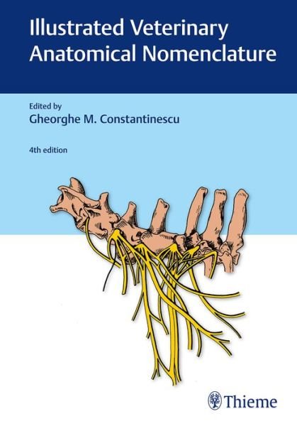 Cover for Alois Fürstner · Illustrated Veterinary Anatomical Nomenclature (Innbunden bok) [4., aktualisierte Auflage edition] (2018)