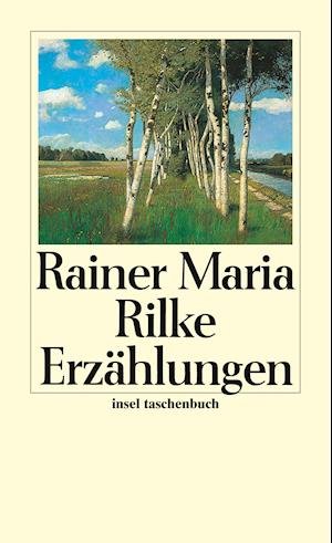 Cover for Rainer Maria Rilke · Insel TB.1717 Rilke.Erzählungen (Buch)