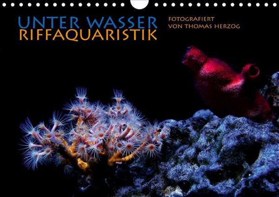 Cover for Herzog · UNTER WASSER Riffaquaristik (Wan (Bog)
