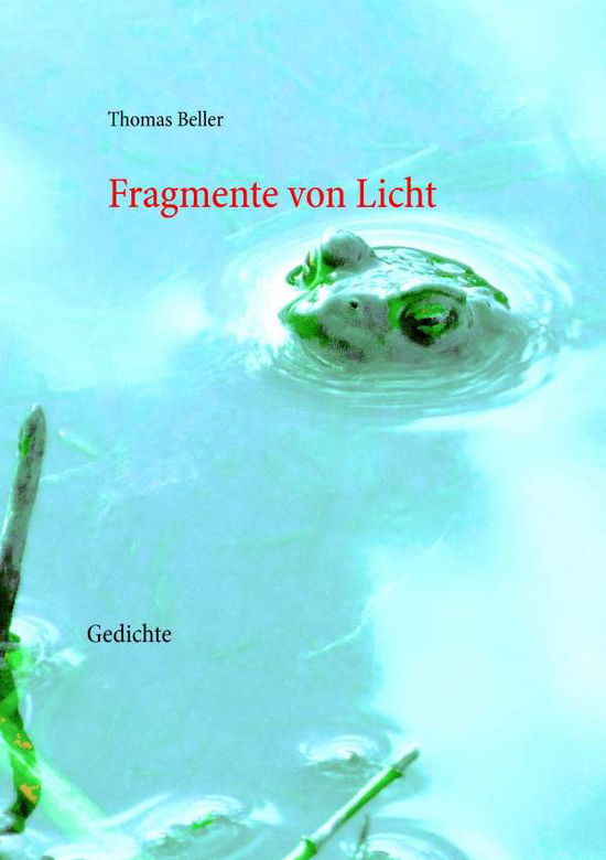 Cover for Beller · Fragmente von Licht (Book)