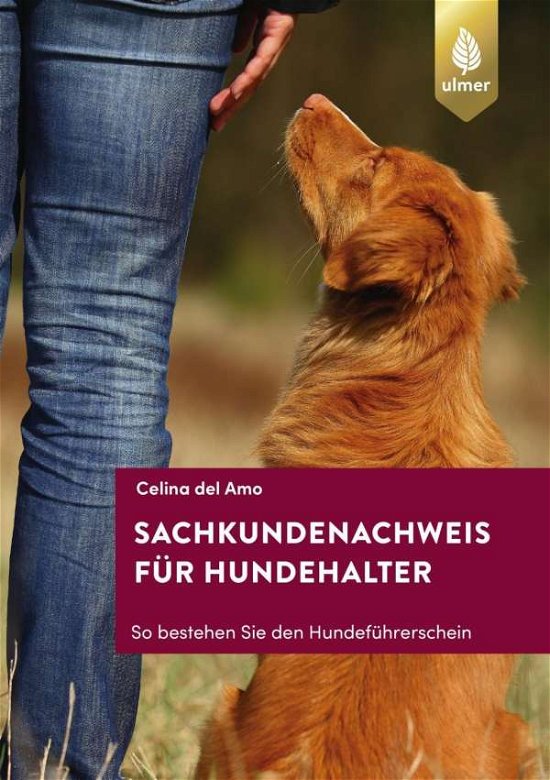 Cover for Amo · Sachkundenachweis für Hundehalter (Bog)