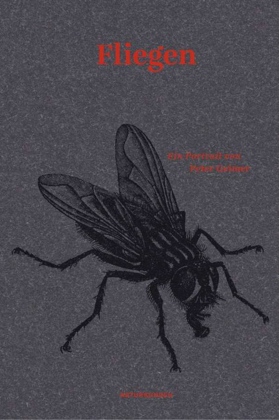 Cover for Geimer · Fliegen (Bok)