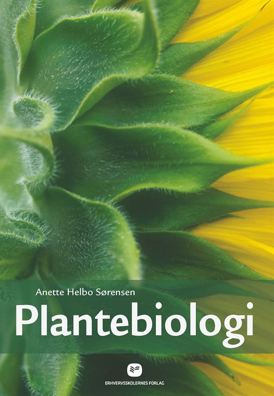 Cover for Anette Helbo Sørensen · Plantebiologi (Sewn Spine Book) [4º edição] (2013)