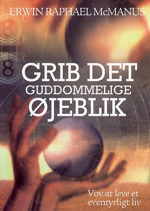 Cover for Erwin Raphael McManus · Grib det guddommelige øjeblik! (Sewn Spine Book) [1st edition] (2006)