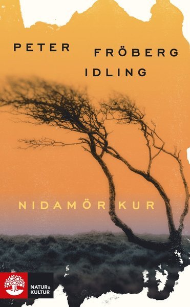 Cover for Peter Fröberg Idling · Nidamörkur (Taschenbuch) (2021)