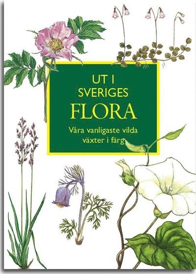 Ingvar Nordin · Ut i Sveriges Flora: våra vanligaste vilda växter i färg (Bog) (2017)