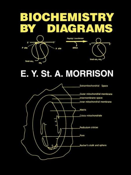 Biochemistry by Diagrams - Errol Y. St. A. Morrison - Books - Canoe Press - 9789768125170 - December 11, 2008