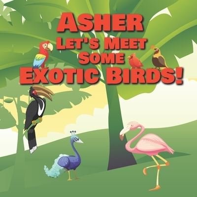 Cover for Chilkibo Publishing · Asher Let's Meet Some Exotic Birds! (Paperback Book) (2020)
