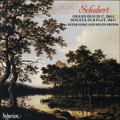 Cover for Franz Schubert  · Sonata Per Piano D 617 (CD)