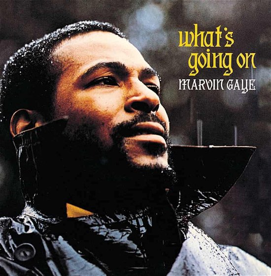 What's Going On - Marvin Gaye - Musique - MOTOWN - 0602435584171 - 29 juillet 2022
