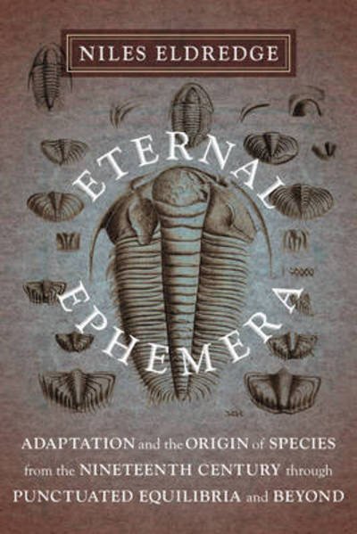 Cover for Niles Eldredge · Eternal Ephemera: Adaptation and the Origin of Species from the Nineteenth Century Through Punctuated Equilibria and Beyond (Paperback Book) (2016)