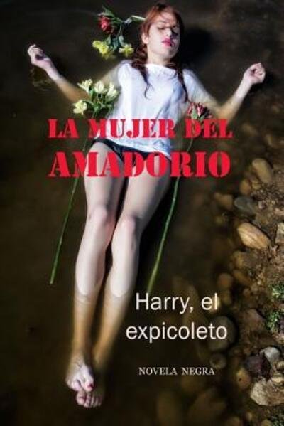 Cover for Ramon Fernandez Palmeral · La mujer del Amadorio (Pocketbok) (2017)