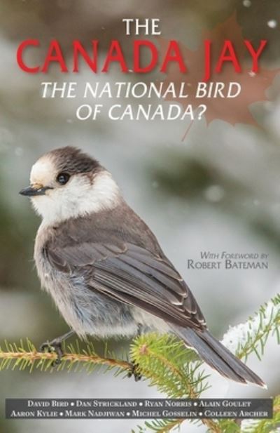 Cover for David Bird · The Canada Jay: The National Bird of Canada? (Paperback Book) (2022)