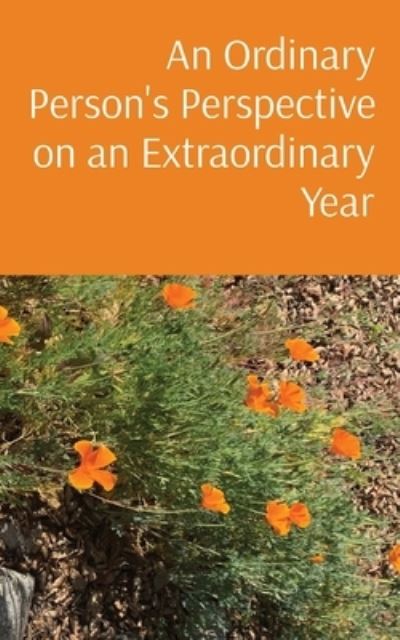 Ordinary Person's Perspective on an Extraordinary Year - Beth Donovan - Bøger - Indy Pub - 9781087935171 - 6. marts 2023
