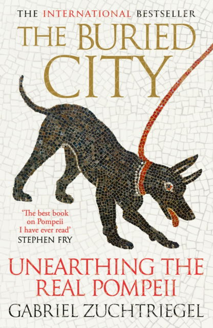 Cover for Gabriel Zuchtriegel · The Buried City: Unearthing the Real Pompeii (Hardcover Book) (2025)