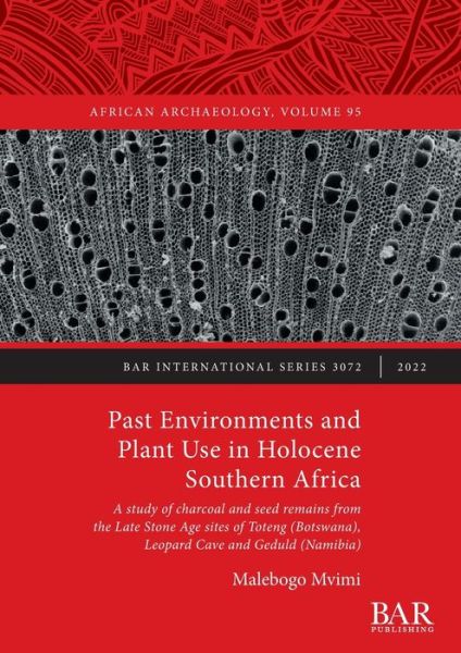 Cover for Malebogo Mvimi · Past Environments and Plant Use in Holocene Southern Africa (Paperback Book) (2022)