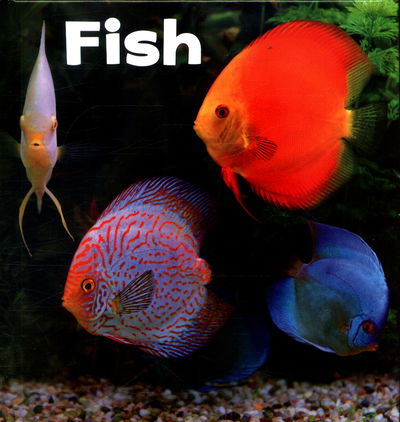 Cover for Lisa J. Amstutz · Fish - Our Pets (Hardcover Book) (2018)