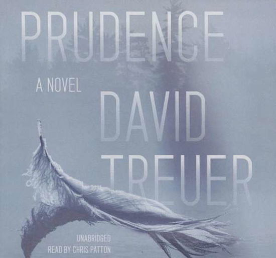 Cover for David Treuer · Prudence (CD) (2015)