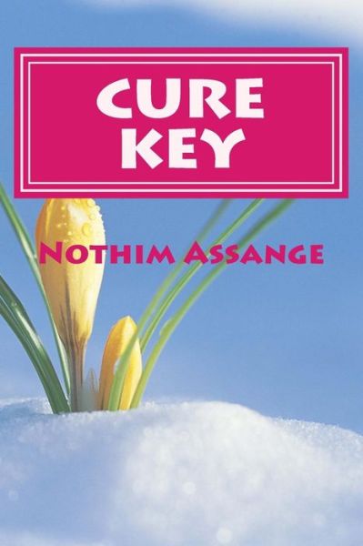 Cover for Nothim Assange · Cure Key (Paperback Book) (2016)