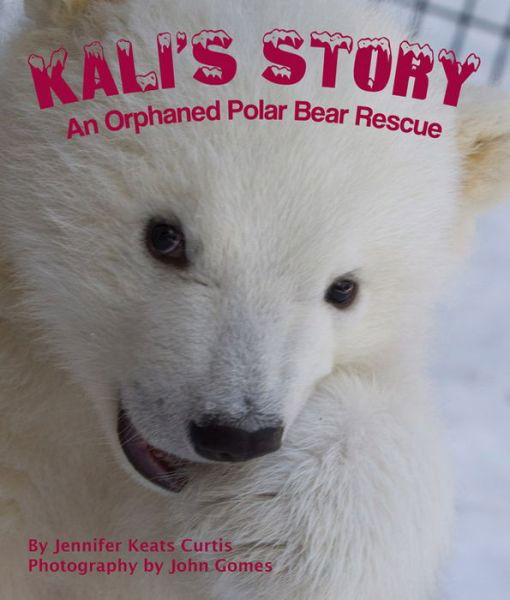 Kali's Story: an Orphaned Polar Bear Rescue - Jennifer Keats Curtis - Bøker - Sylvan Dell Publishing - 9781628552171 - 10. februar 2014