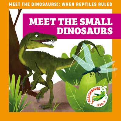 Cover for Rebecca Donnelly · Meet the Small Dinosaurs (Hardcover Book) (2022)