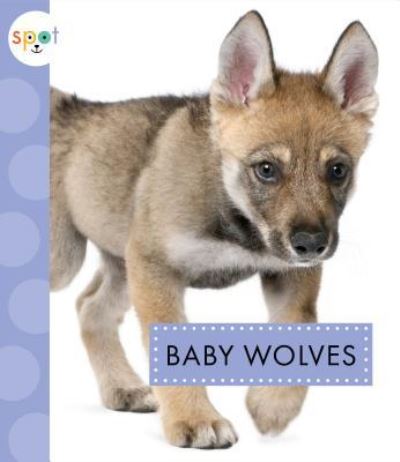 Cover for K C Kelley · Baby Wolves (Hardcover Book) (2018)