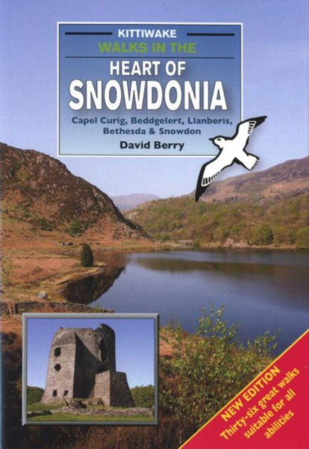 Cover for David Berry · Walks in the Heart of Snowdonia (Paperback Book) (2015)