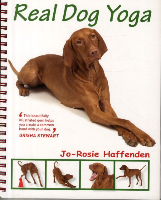 Cover for Jo-Rosie Haffenden · Real Dog Yoga (Paperback Book) (2015)