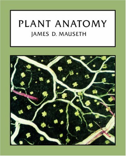 Cover for James D. Mauseth · Plant Anatomy (Paperback Book) (2008)