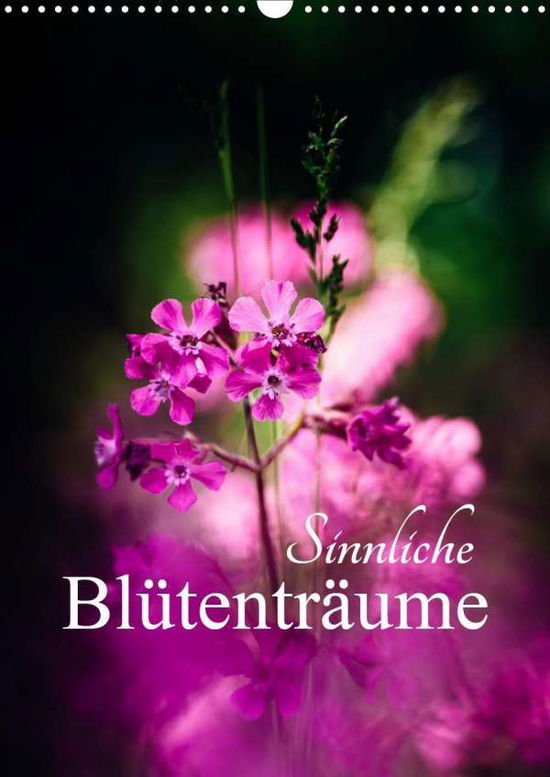 Cover for Mänz · Sinnliche Blütenträume (Wandkalend (Book)